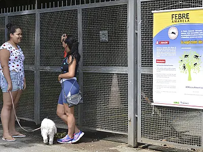 SP volta a registrar mortes por febre amarela após dois anos sem casos