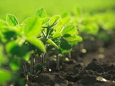 Empurrado pelo agro, o PIB do Brasil cresceu 1,9% no primeiro trimestre de 2023