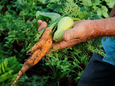 Brasil terá crédito de US$ 1,2 bi para projetos agrícolas