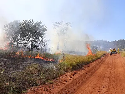 SP Sem Fogo: Inverno mais seco favorece o aumento de incêndios