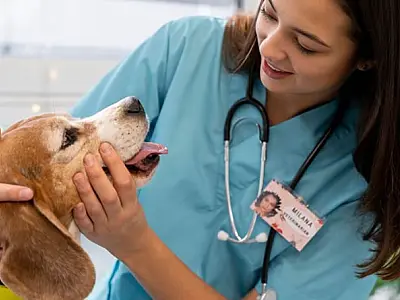 Programas habitacionais de Cubatão garantem inclusão e bem-estar de animais de estimação
