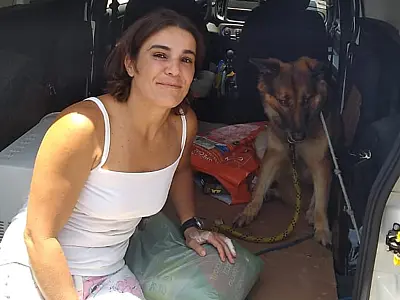 Cachorrinha é resgatada pela Secretaria de Bem-Estar Animal e devolvida ao dono