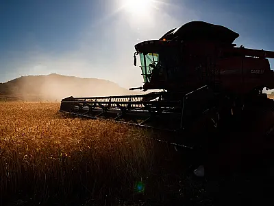 Governo faz ajustes em programas de concessão de crédito rural