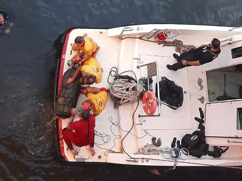 Operação acha 130 kg de cocaína em casco de navio
