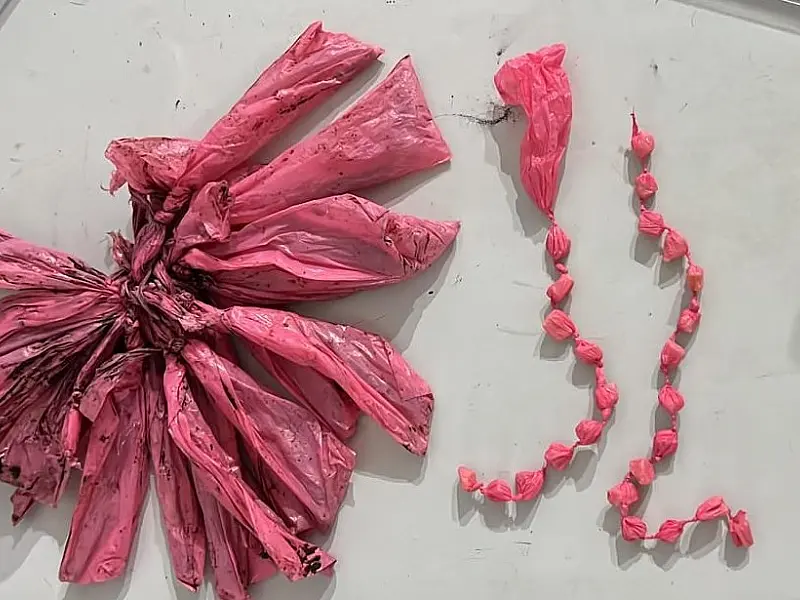 Polícia Civil prende associação criminosa destinada ao tráfico de drogas