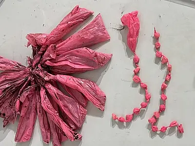 Polícia Civil prende associação criminosa destinada ao tráfico de drogas