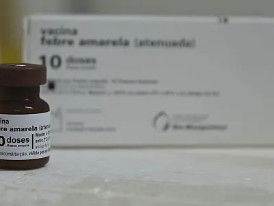 Só vacinação pode manter febre amarela longe das cidades