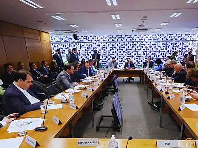 Câmara apresenta texto sobre adultização infantil nas redes em 30 dias