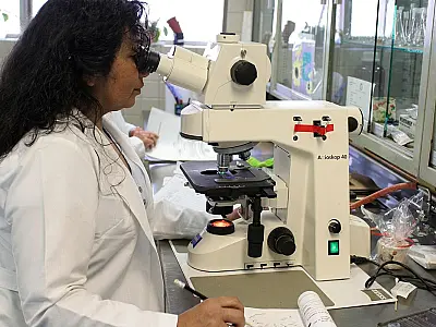 Programa Futuras Cientistas tem 470 vagas para alunas e professoras