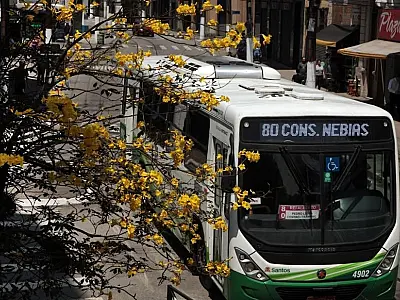 Transporte será gratuito neste domingo de eleições