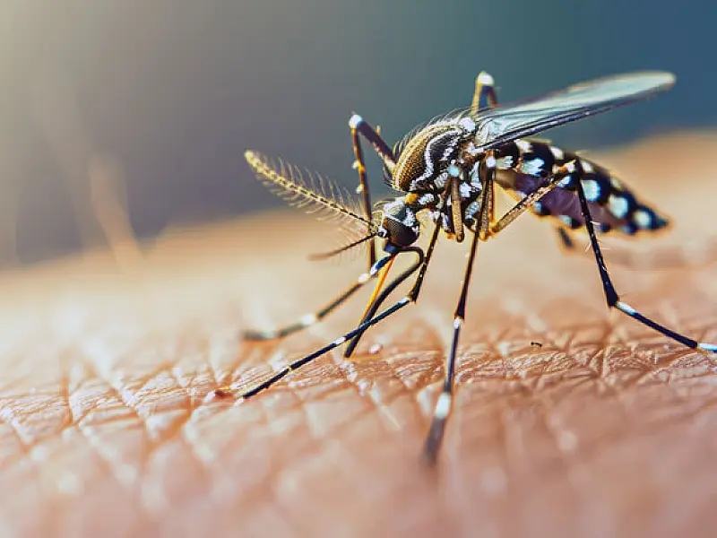 Mongaguá intensifica ações de combate à dengue com a chegada do verão