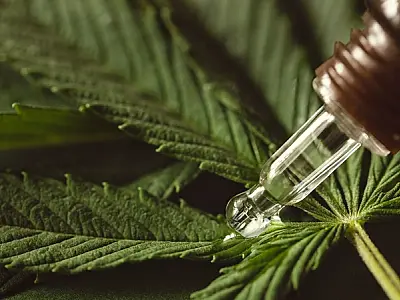 Cannabis medicinal: tratamento já é utilizado por 430 mil pessoas no Brasil