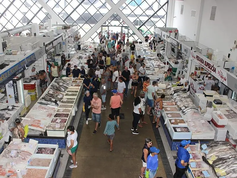 Mercado de Peixes de Santos promove Festival da Tilápia com desconto especial