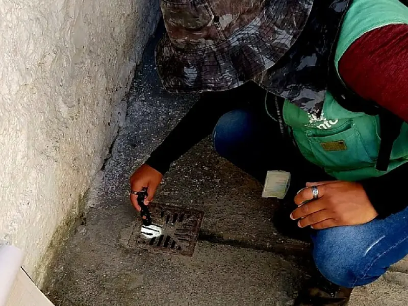 Mutirão no Rádio Clube, em Santos, elimina 44 focos com larvas de mosquito