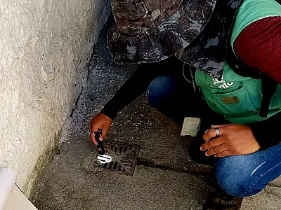 Mutirão no Rádio Clube, em Santos, elimina 44 focos com larvas de mosquito