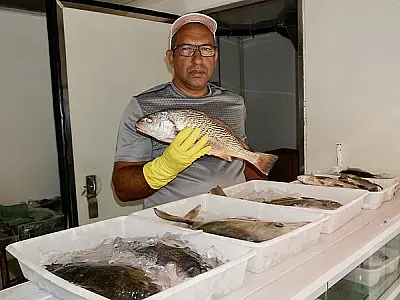 No Guarujá, Caminhão do Peixe tem pescados a preços acessíveis