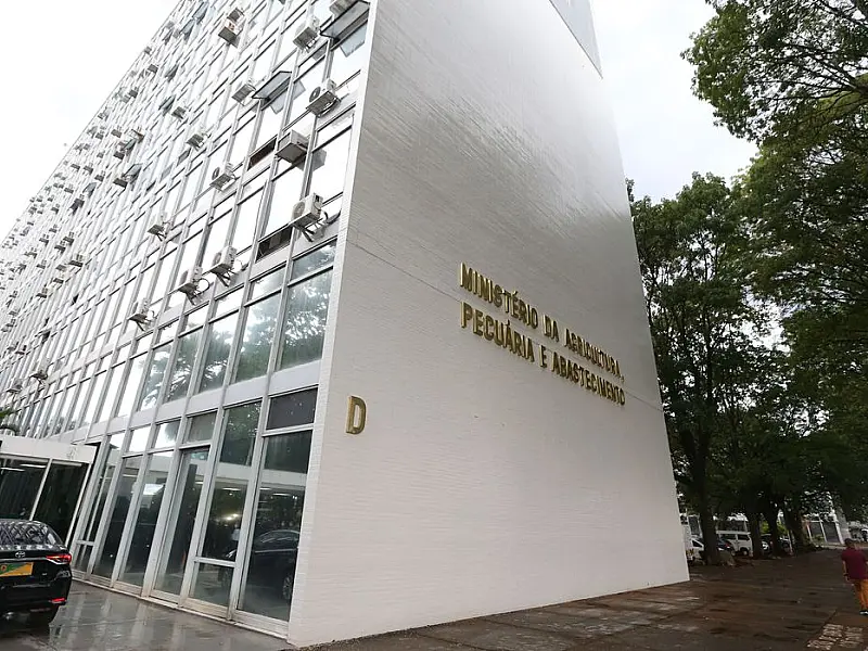 Ministério declara Roraima área de quarentena para mosca da carambola