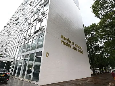 Ministério declara Roraima área de quarentena para mosca da carambola