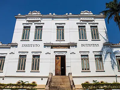 Instituto Butantan desenvolve pomada cicatrizante para evitar queloides