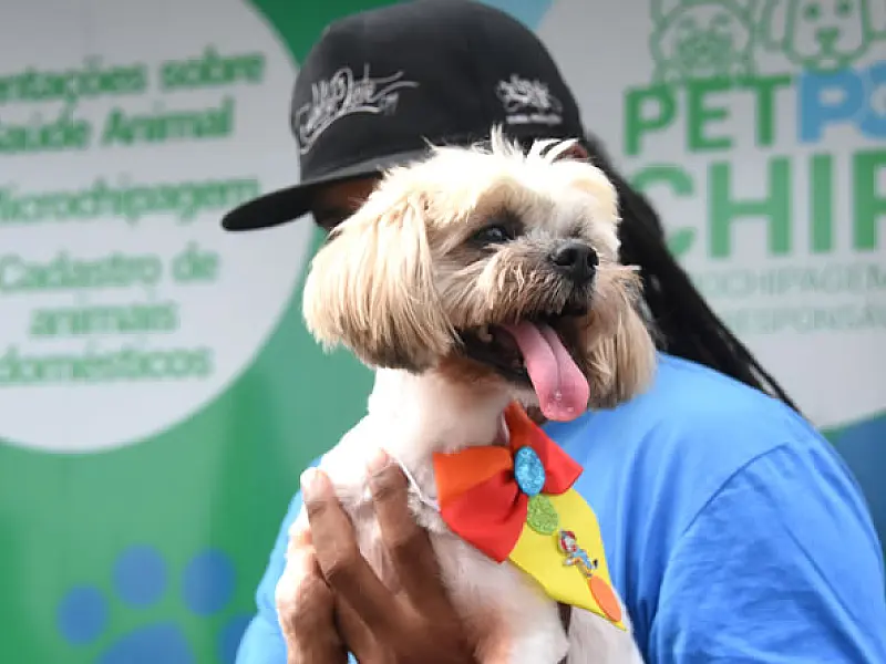 Pet PG Chip visita a feira livre do Bairro Samambaia nesta quinta-feira (9)