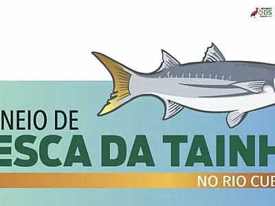 Torneio de Pesca da Tainha é neste domingo (18) em Cubatão