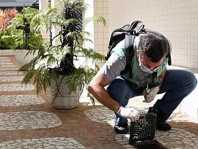 Estuário, em Santos, recebe mutirão contra o Aedes aegypti nesta quarta