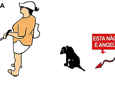 Post Importado Sem Título