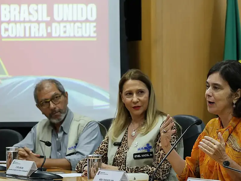 Juntas, dengue e gripe podem pressionar sistema de saúde, diz ministra