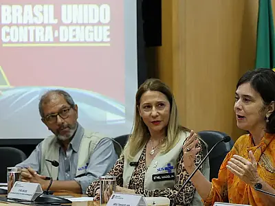 Juntas, dengue e gripe podem pressionar sistema de saúde, diz ministra