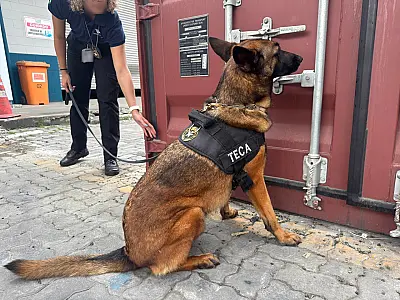 Receita Federal apreende 405 kg de cocaína no Porto de Santos