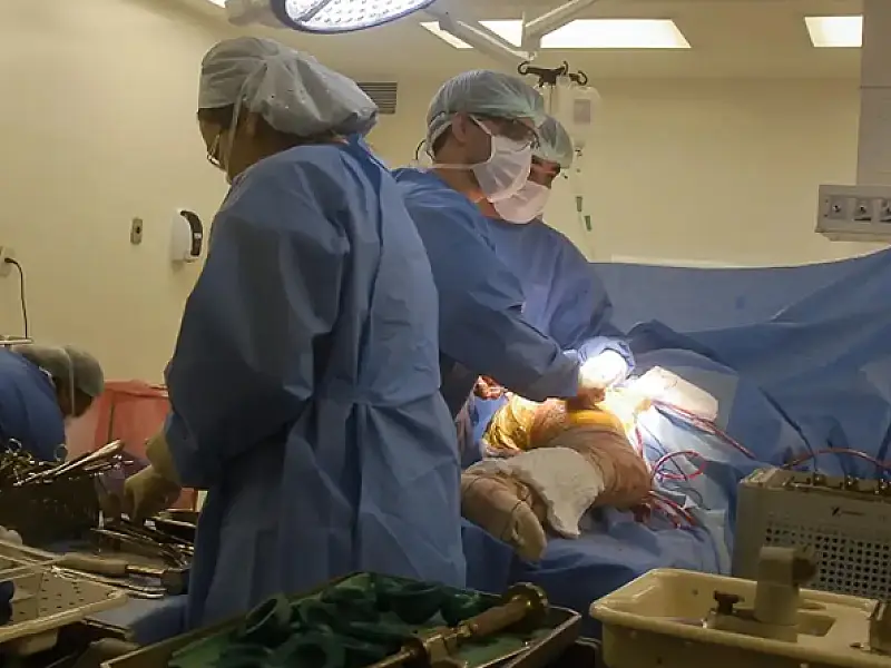 Doença Silenciosa no Quadril: especialista faz alerta sobre Necrose Avascular da Cabeça Femoral