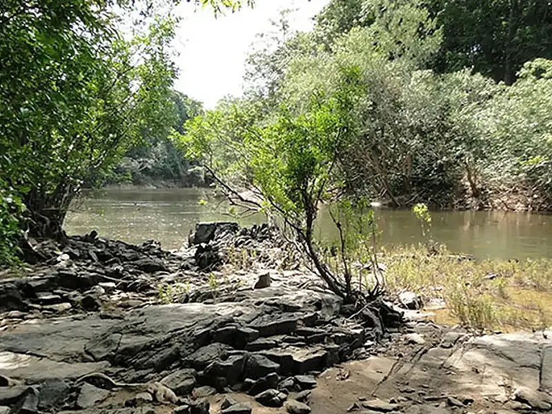 Governo lança edital para concessão da Flona do Jatuarana, no Amazonas