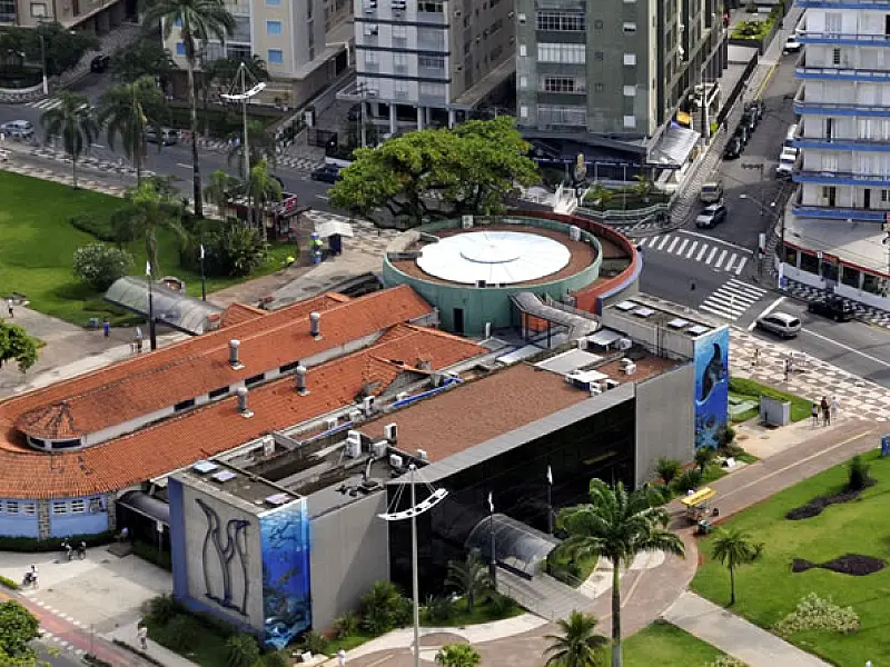 Equipe do Aquário de Santos oferece atividades de educação ambiental em novembro