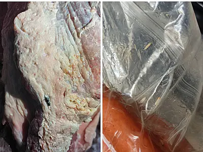 Polícia Civil interdita açougues por venda de carnes deterioradas em Mongaguá, Itanhaém e Peruíbe