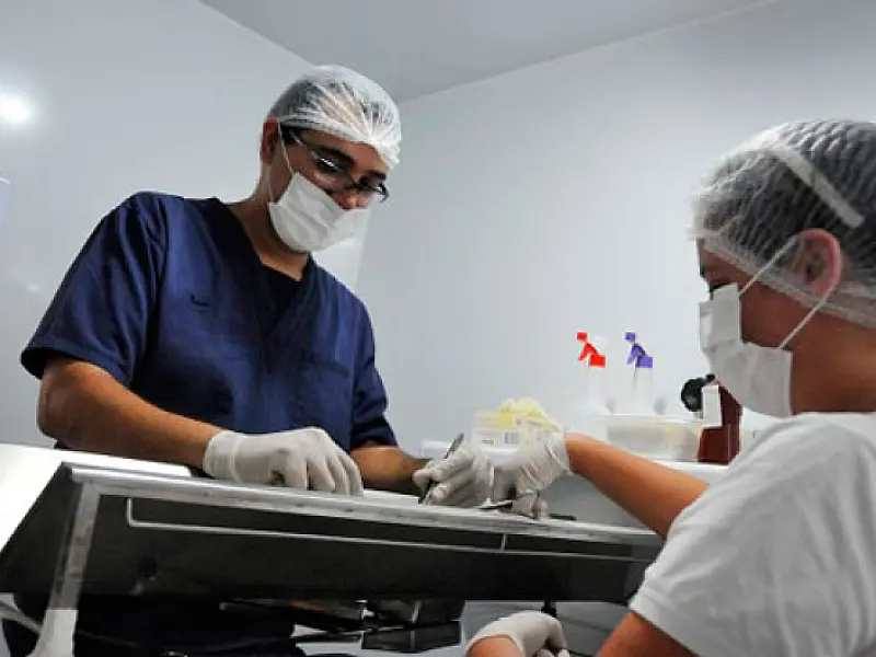Cidade oferece 700 vagas gratuitas de castração de cães e gatos por mês