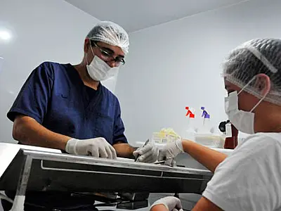 Cidade oferece 700 vagas gratuitas de castração de cães e gatos por mês