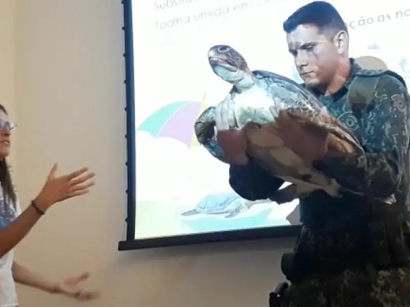 PM Ambiental forma 22 oficiais em curso de identificação e manejo de fauna marinha