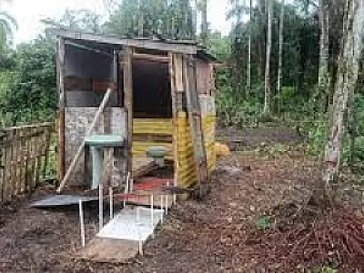 Prefeitura de PG localiza e remove barracos em áreas de contenção de invasões