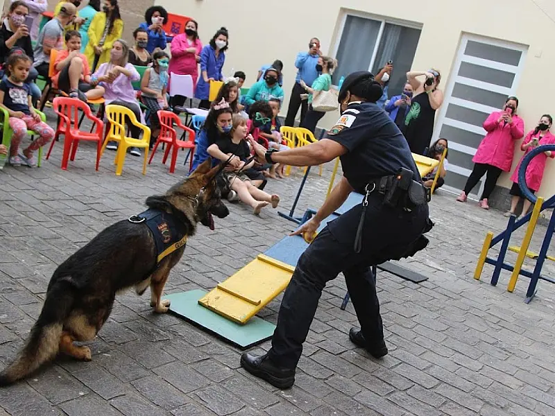 Crianças se divertem e estabelecem contato com cães da Guarda Municipal de Santos