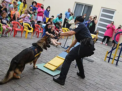 Crianças se divertem e estabelecem contato com cães da Guarda Municipal de Santos