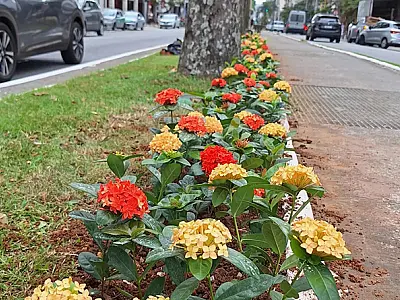 Santos inicia renovação paisagística com plantio de 3,7 mil flores
