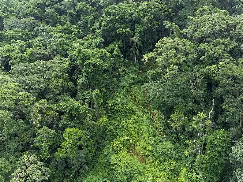 Fundação Florestal recebe inscrições de concurso público para 68 vagas