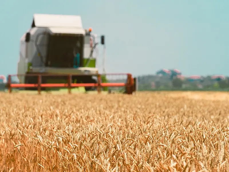 O Brasil entende mesmo o papel do agro num mundo instável?