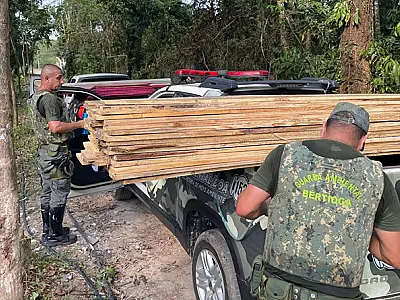 Bertioga interrompe comércio ilegal de lotes em operação com a polícia ambiental