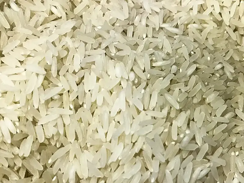 Polícia Federal abre investigação sobre leilão de arroz