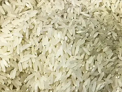 Polícia Federal abre investigação sobre leilão de arroz