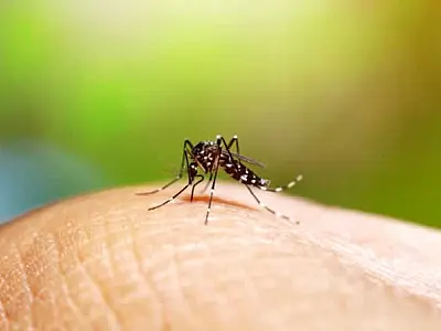 Governo de São Paulo convoca municípios para 'Dia D' de combate à dengue