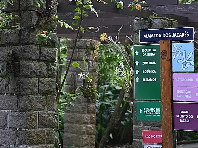 Parques de Santos oferecem atividades de educação ambiental em fevereiro