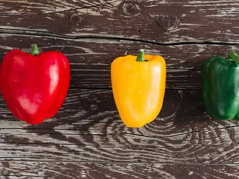 Qual a diferença entre os pimentões verde, amarelo e vermelho?