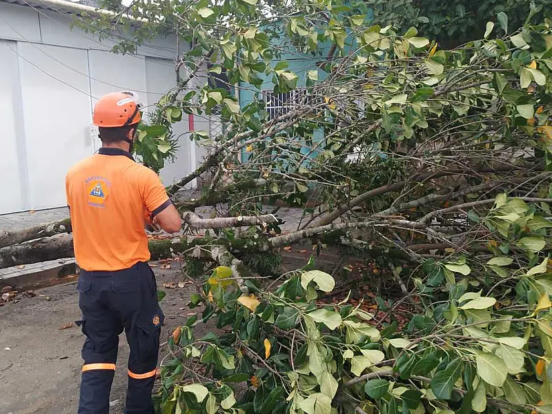 Prefeitura de Guarujá desobstrui oito vias após chuva do último final de semana